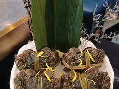 -樱煦和牛寿喜烧(如皋吾悦广场店)