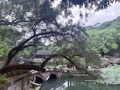 -忠山公园