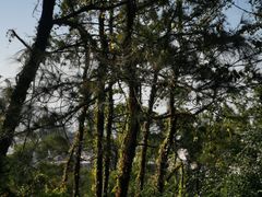 -仙岳公园