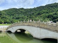 -阳台山森林公园