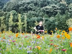 -贵阳市花溪国家城市湿地公园