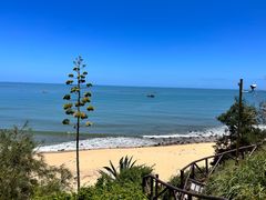 -漳州滨海火山岛自然生态风景区