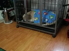 -武清南湖绿博园