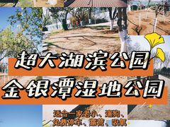 -金银湖国家城市湿地公园