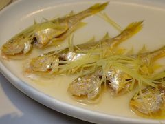 -花城苑广府菜(侨鑫店)