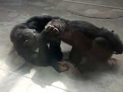 -石家庄市动物园