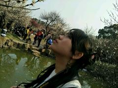 -香雪海