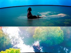 -中国湿地博物馆