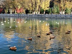 -宗角禄康公园