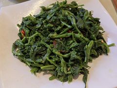 护肝桑叶苗-归元·云集斋素菜馆
