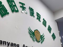 -天使宠物医院·犬猫分诊(彩虹店)