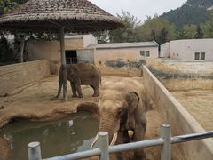 -西霞口神雕山野生动物世界
