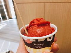 -哈根达斯(南开大悦城店)
