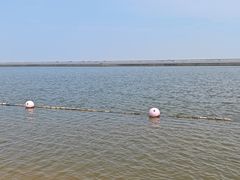 -碧海金沙