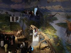 -自贡恐龙博物馆