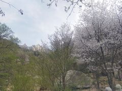 -崂山巨峰游览区