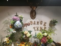 -共舞时光猫咖·狗咖(新街口店)