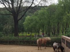 -沈阳森林动物园