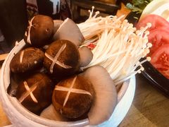 -小龙坎火锅(双林店)