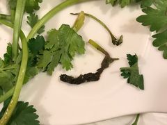 -老昌春饼(学府凯德店)