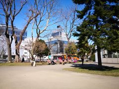-札幌电视塔