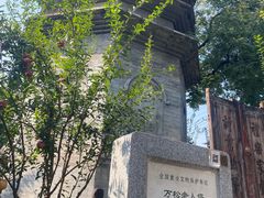 -万松老人塔