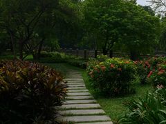 -晓港公园