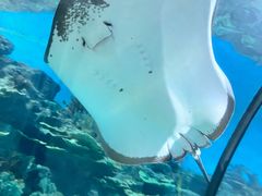 -福州罗源湾海洋世界旅游区