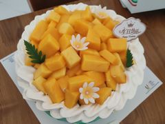-维尔纳斯·生日蛋糕·动物奶油冰淇淋蛋糕(六里桥店)