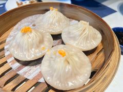 -点都德·毕德寮