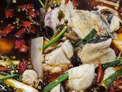 -乡土特色.冷锅鱼.牦牛肉汤锅