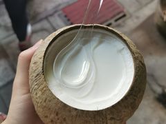 巨无霸椰子冻-椰爺爺·椰子冻砵仔糕