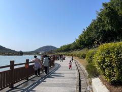 -风云岭森林公园