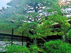-京都御所