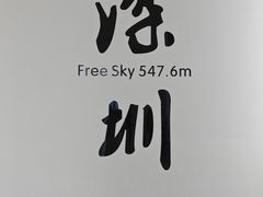 -平安金融中心云际观光层