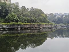 -重庆彩云湖湿地公园