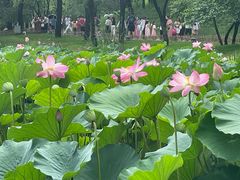 -承德避暑山庄景区