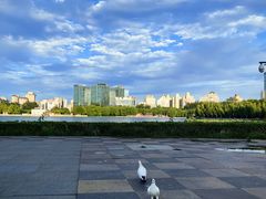 -莲花池公园