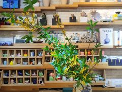 -今日陶艺(富力广场店)