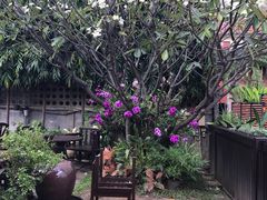 -Dash Teak House