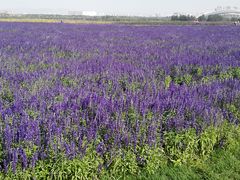 -赛汗塔拉风情园