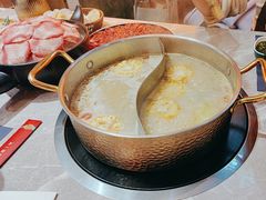 -濠七糟粕醋·椰子鸡火锅(上海首店)