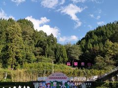 -腾冲北海湿地