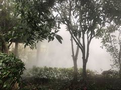 -苏州湾王焰温泉度假酒店