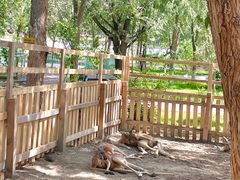 -水上乐园·欢乐世界