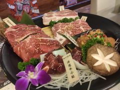 -猫爪爪原切自助烤肉(观音桥阳光世纪店)