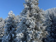 -丝绸之路山地度假区滑雪场