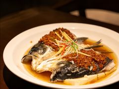 -滋粥楼·顺德菜(番禺广场总店)