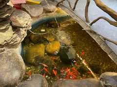 -御膳粥·牛乳粥底火锅·地道顺德菜(容桂店)