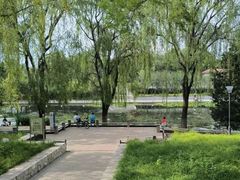 -大兴滨河森林公园